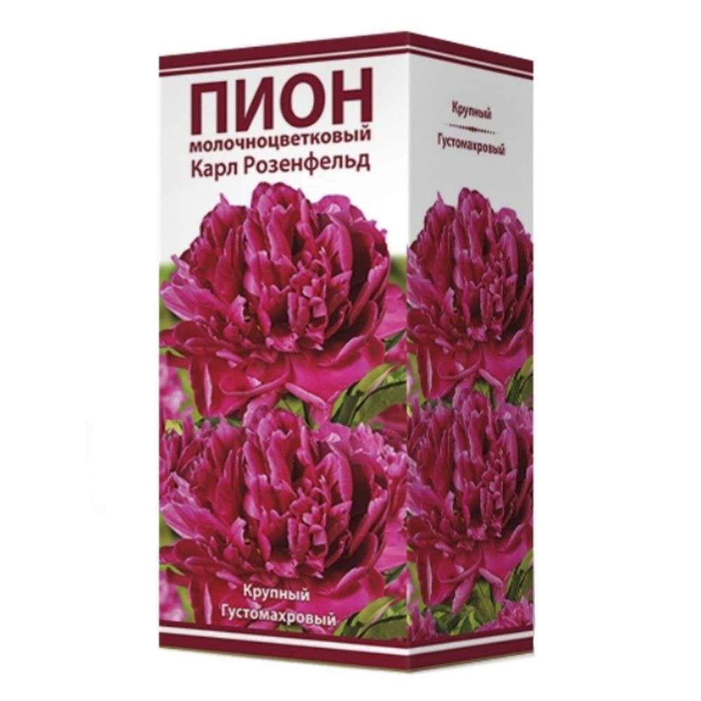 Корневища Пионов Купить В Интернет Магазине