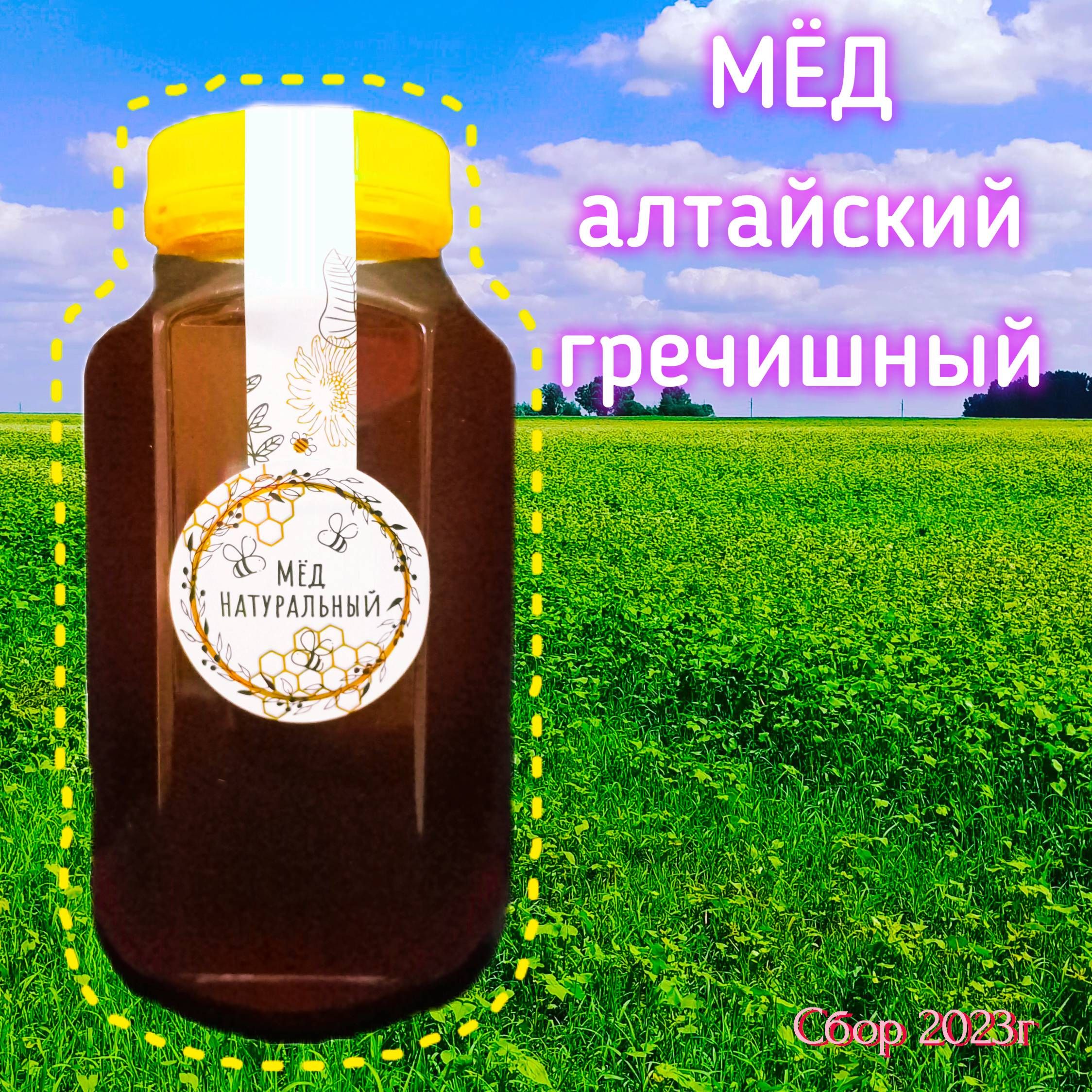 Мед Гречишный Алтайский Organic Food – купить в интернет-магазине OZON по  низкой цене