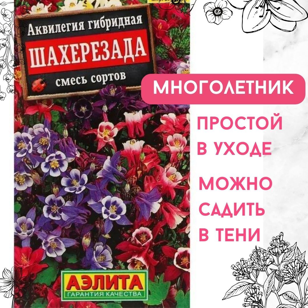 Семена цветов многолетних для сада, цветы Аквилегия Шахерезада (смесь сортов), семена Агрофирма АЭЛИТА 0,2г