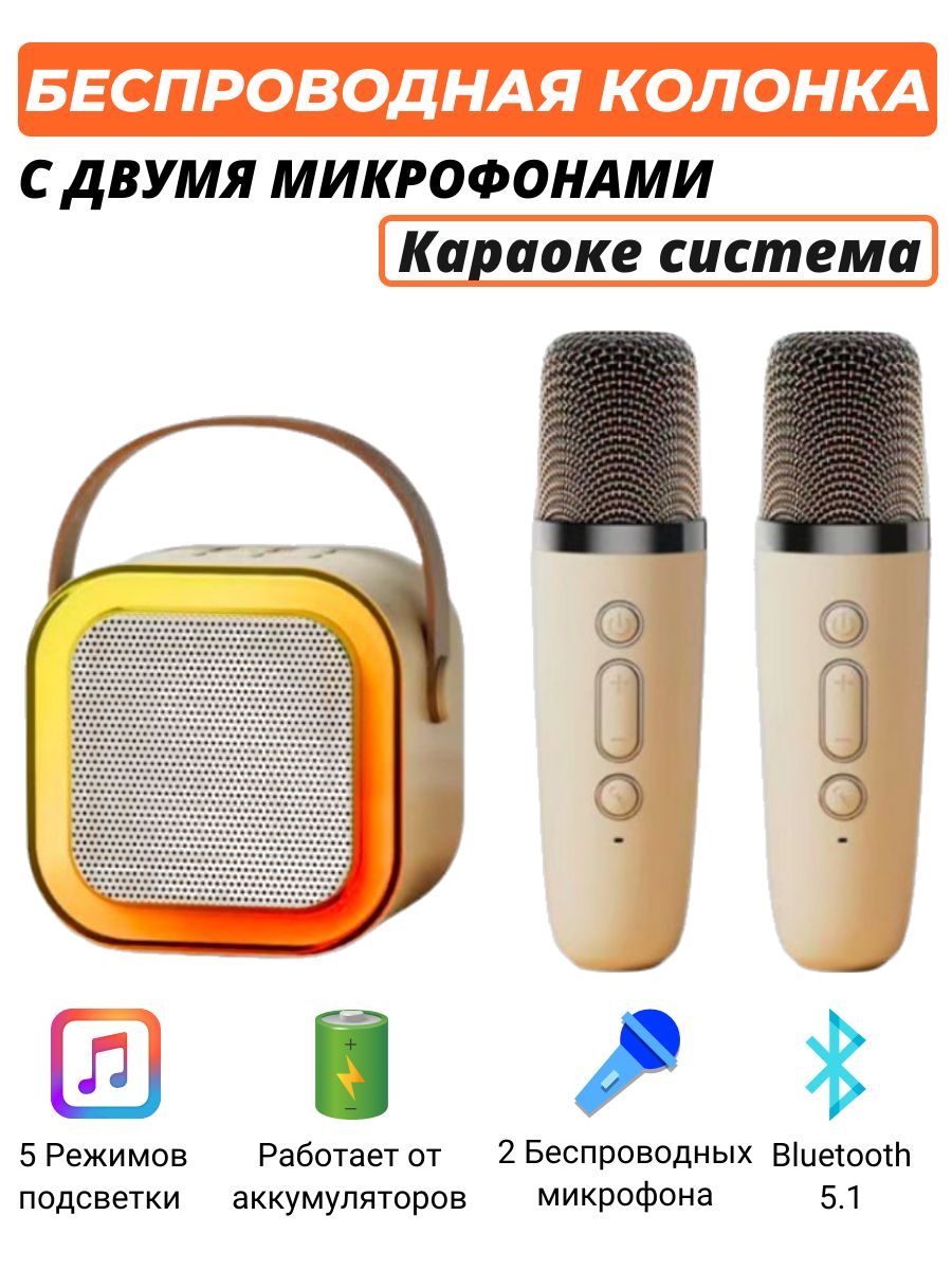 Караоке колонка с двумя микрофонами