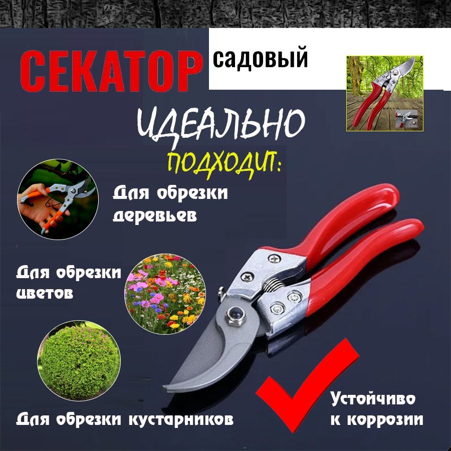 Секатор садовый профессиональный для цветов и веток