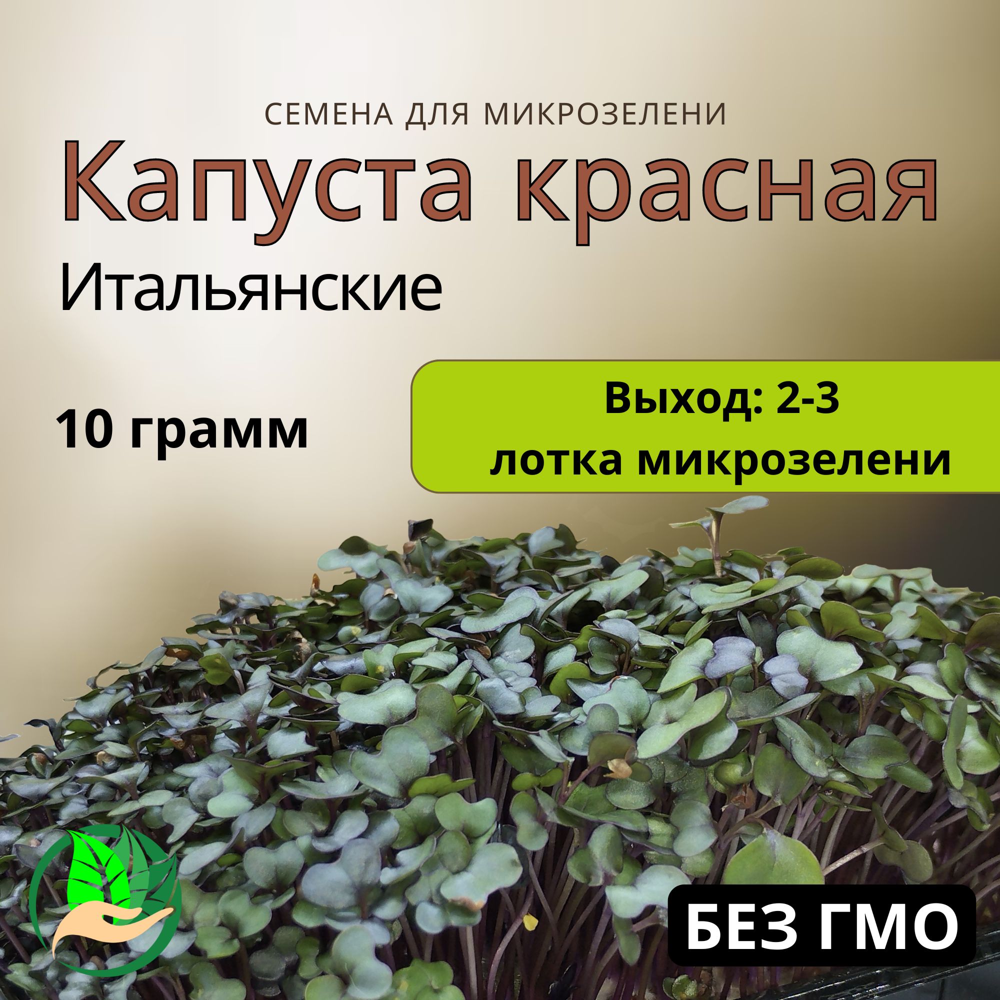 Семена капусты краснокочанной для проращивания микрозелени 10 гр