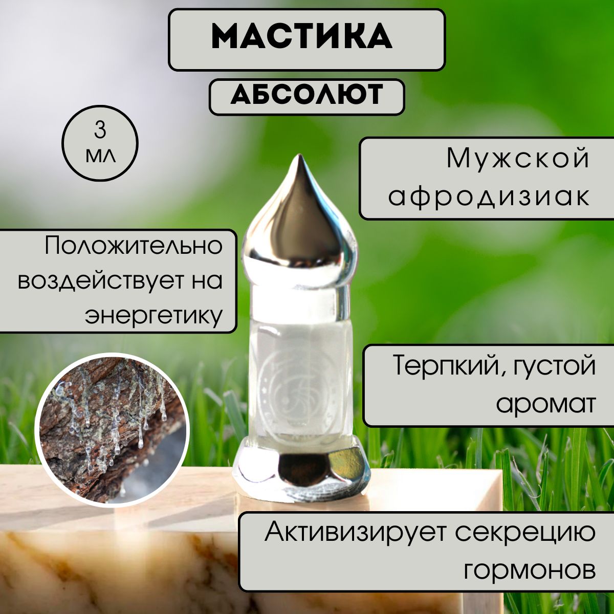 Абсолютмастики