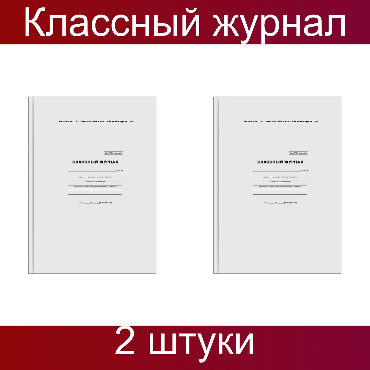 Классный журнал BG для 5-9 классов, 7БЦ, офсетная бумага, 2 штуки