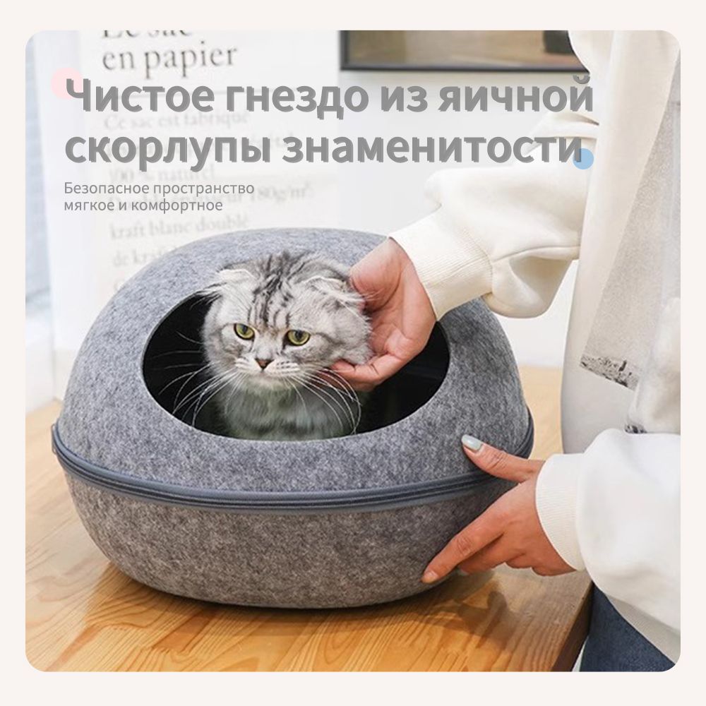 Кошачийдомиквформеяичнойскорлупы