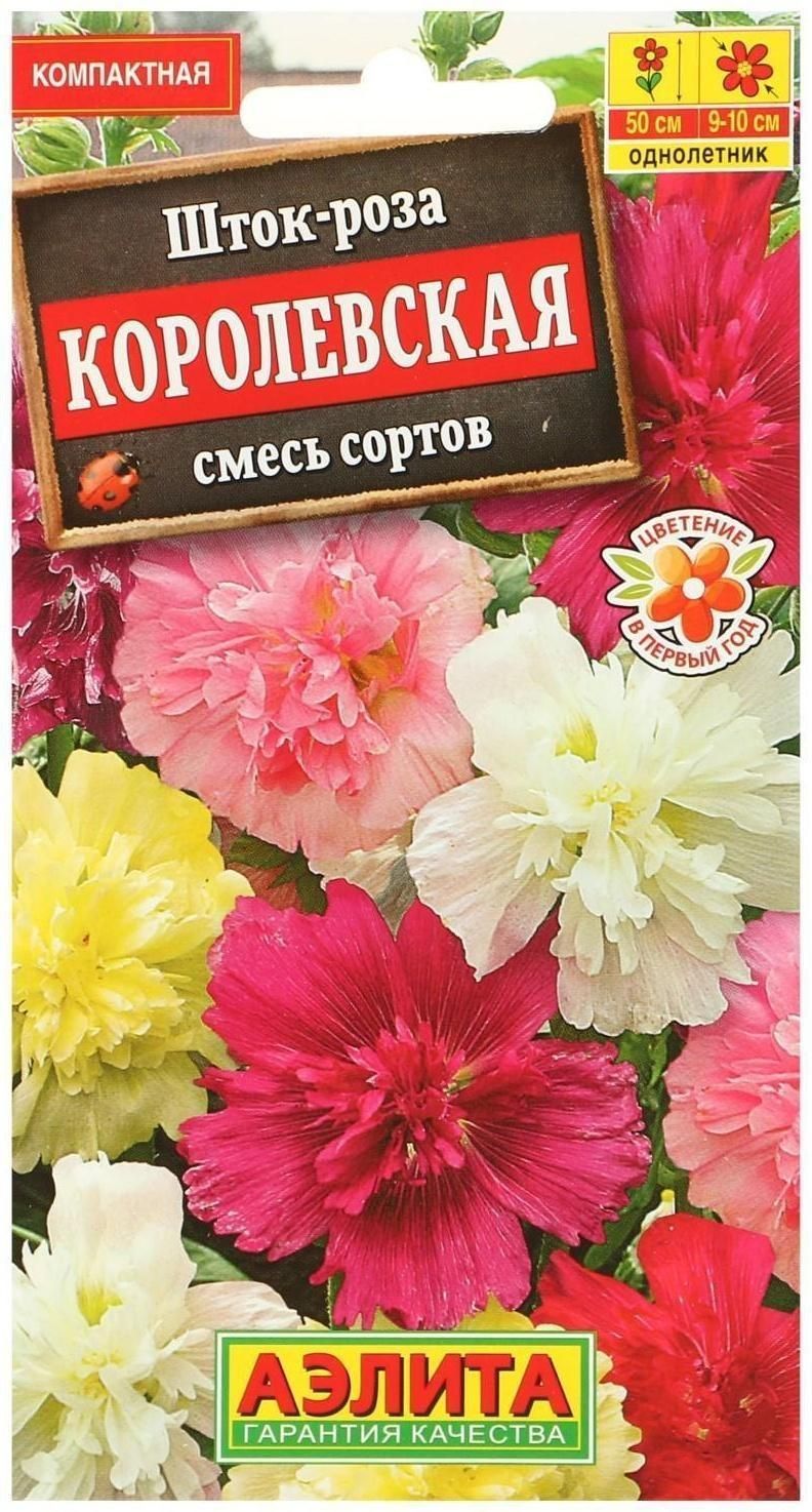 Шток Роза Многолетняя Купить