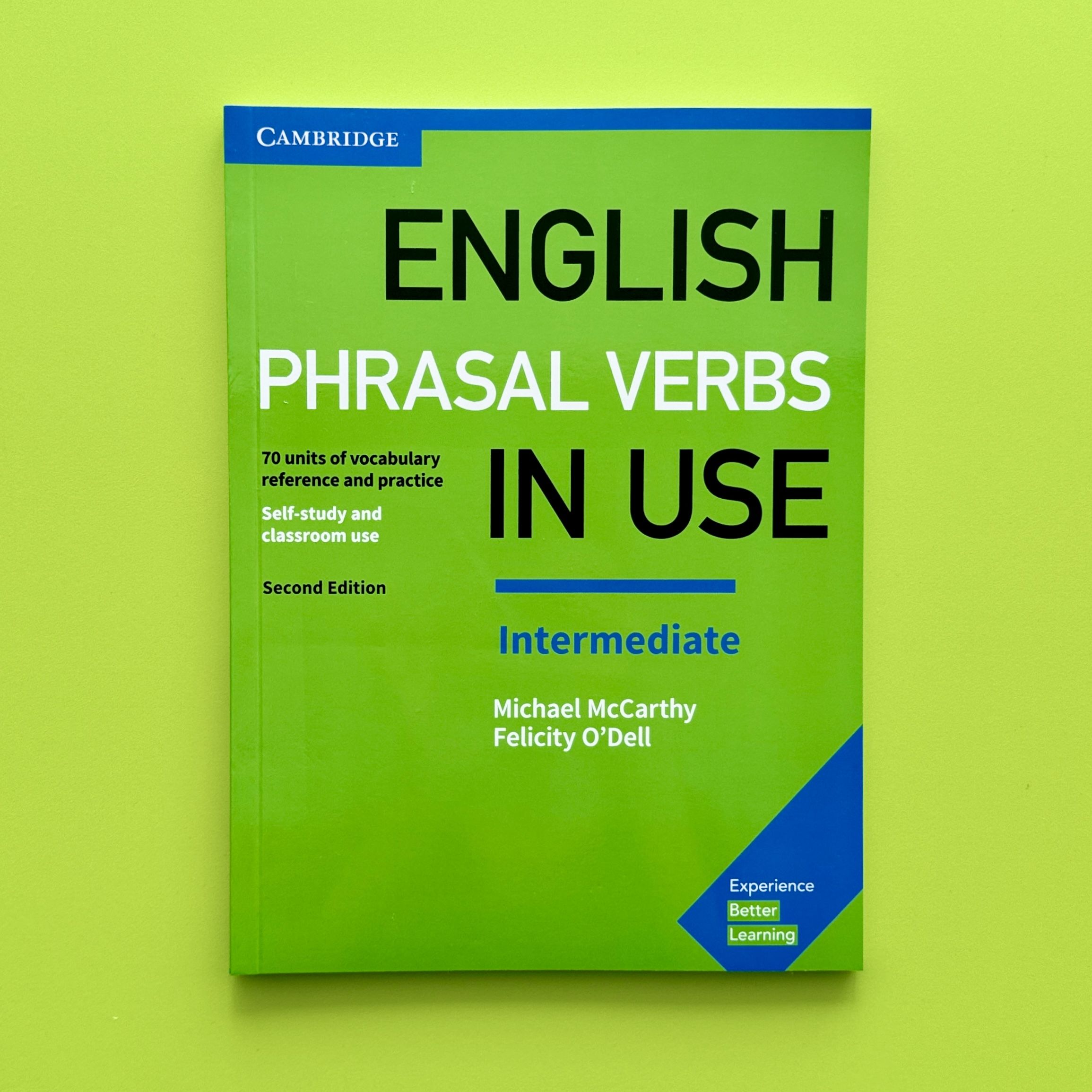 English Phrasal Verbs in Use Intermediate | McCarthy Michael