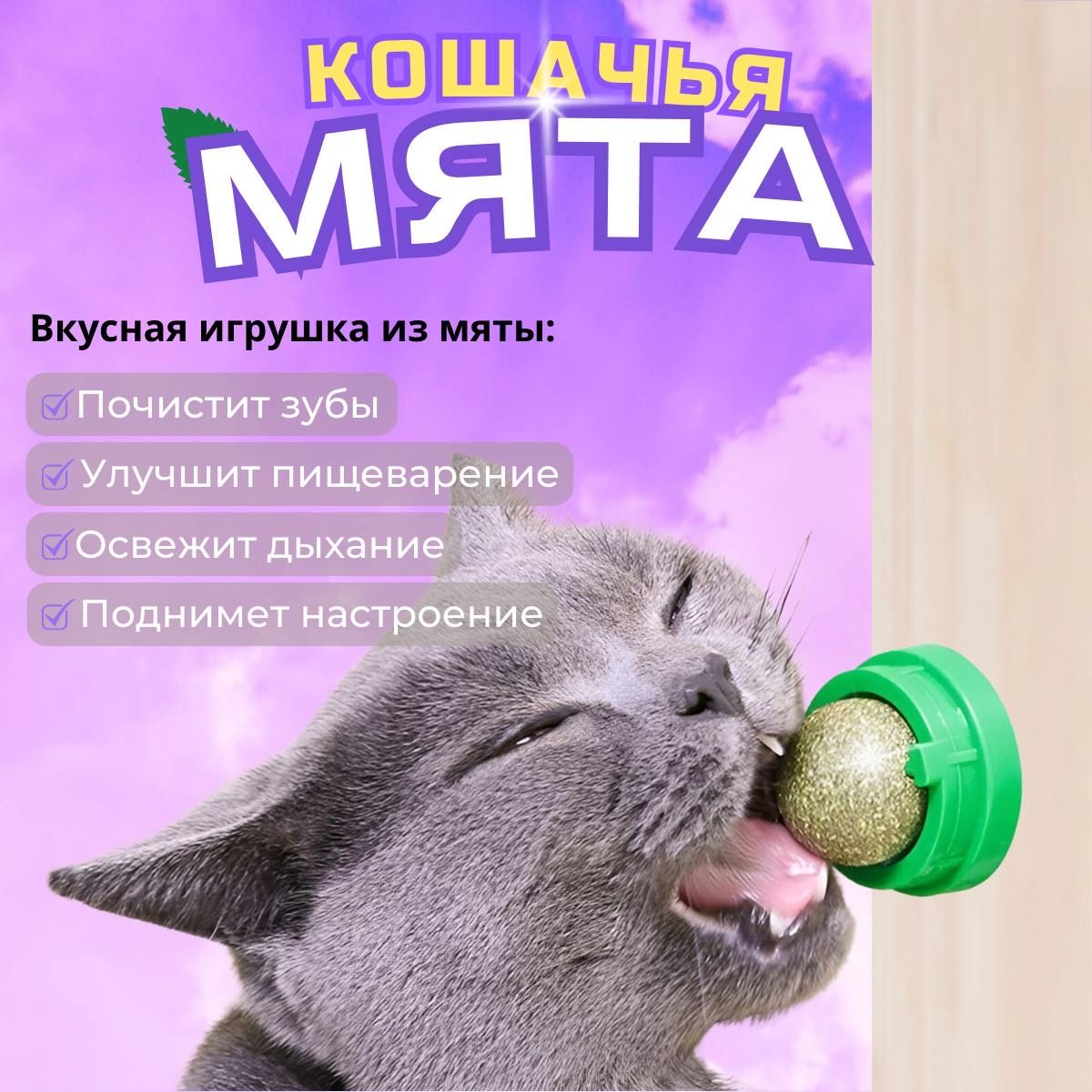 Кошачья мята шарик для кошек