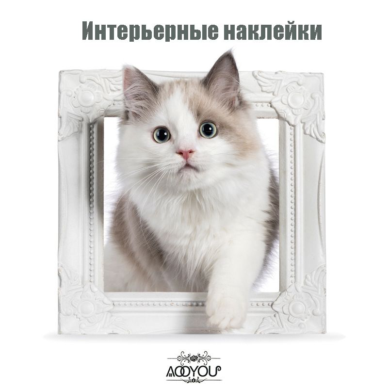 3D Наклейка AOOYOU "Котята" интерьерная