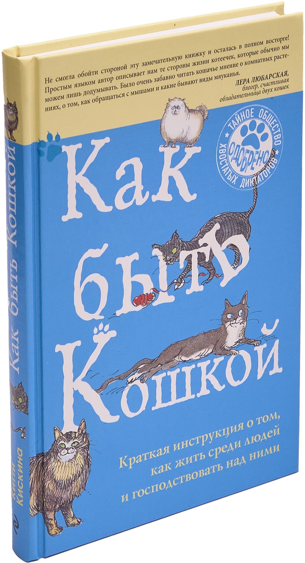 Как быть кошкой | Кискина Китти