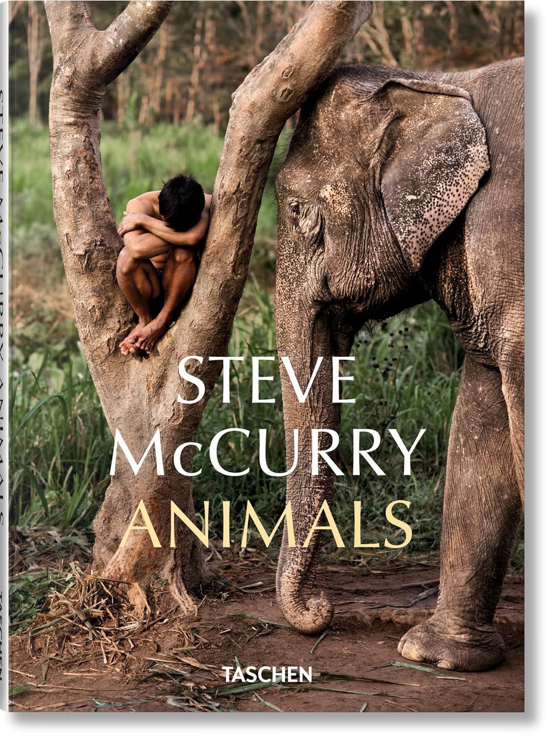 Steve McCurry. Animals | McCurry Steve, Golden Reuel