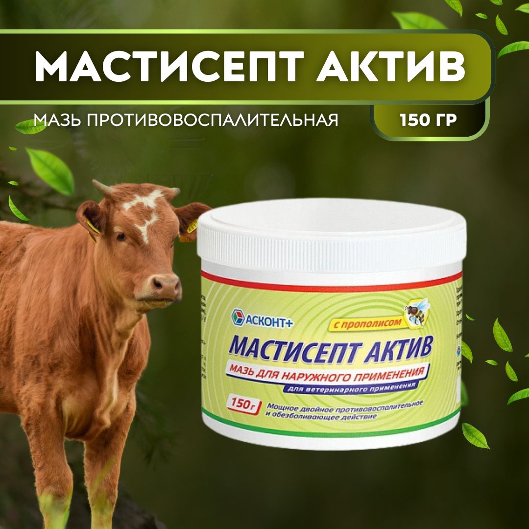 Мастисепт Актив, 150 гр, противовоспалительная мазь для наружного применения