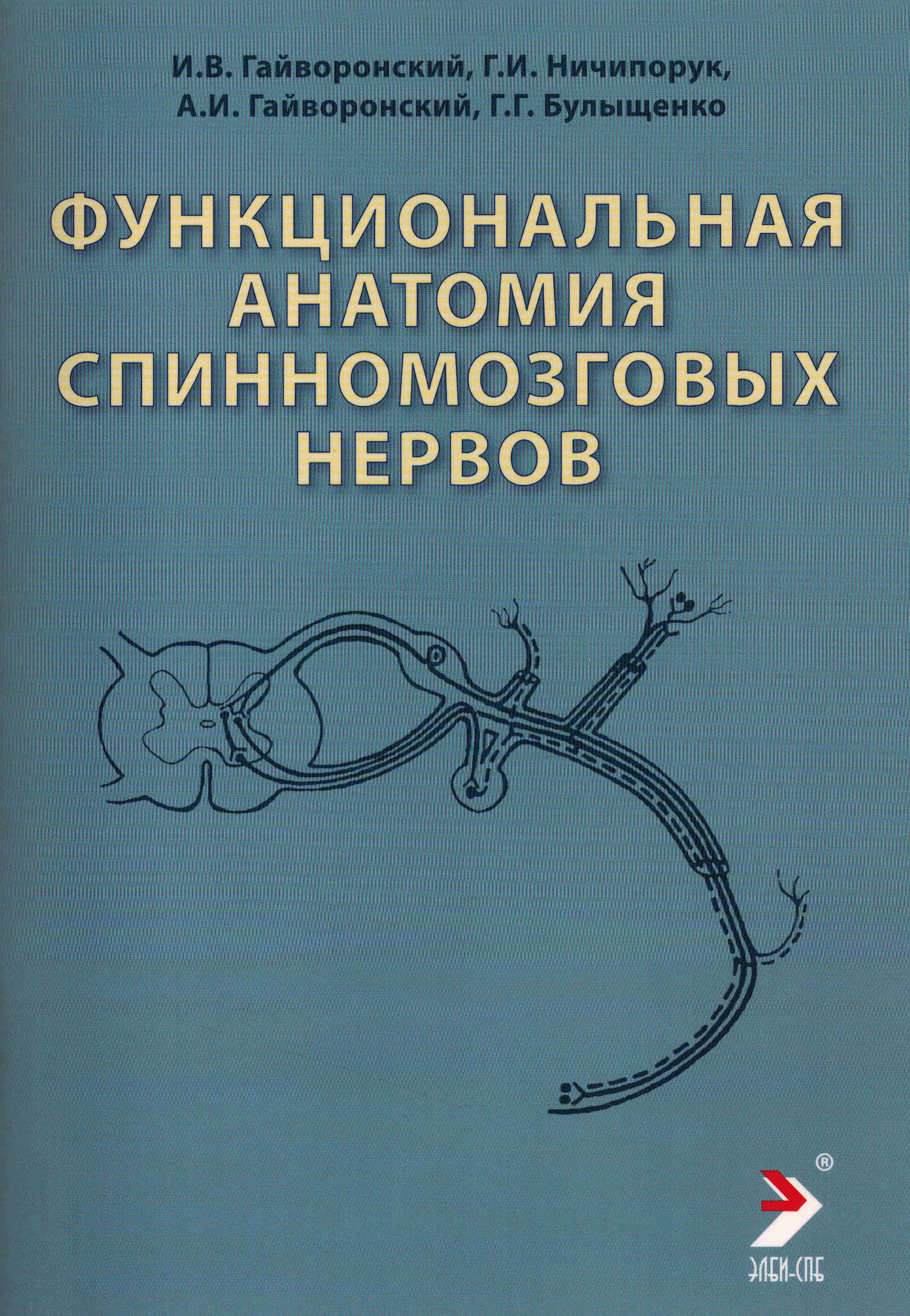 Функциональная анатомия спинномозговых нервов