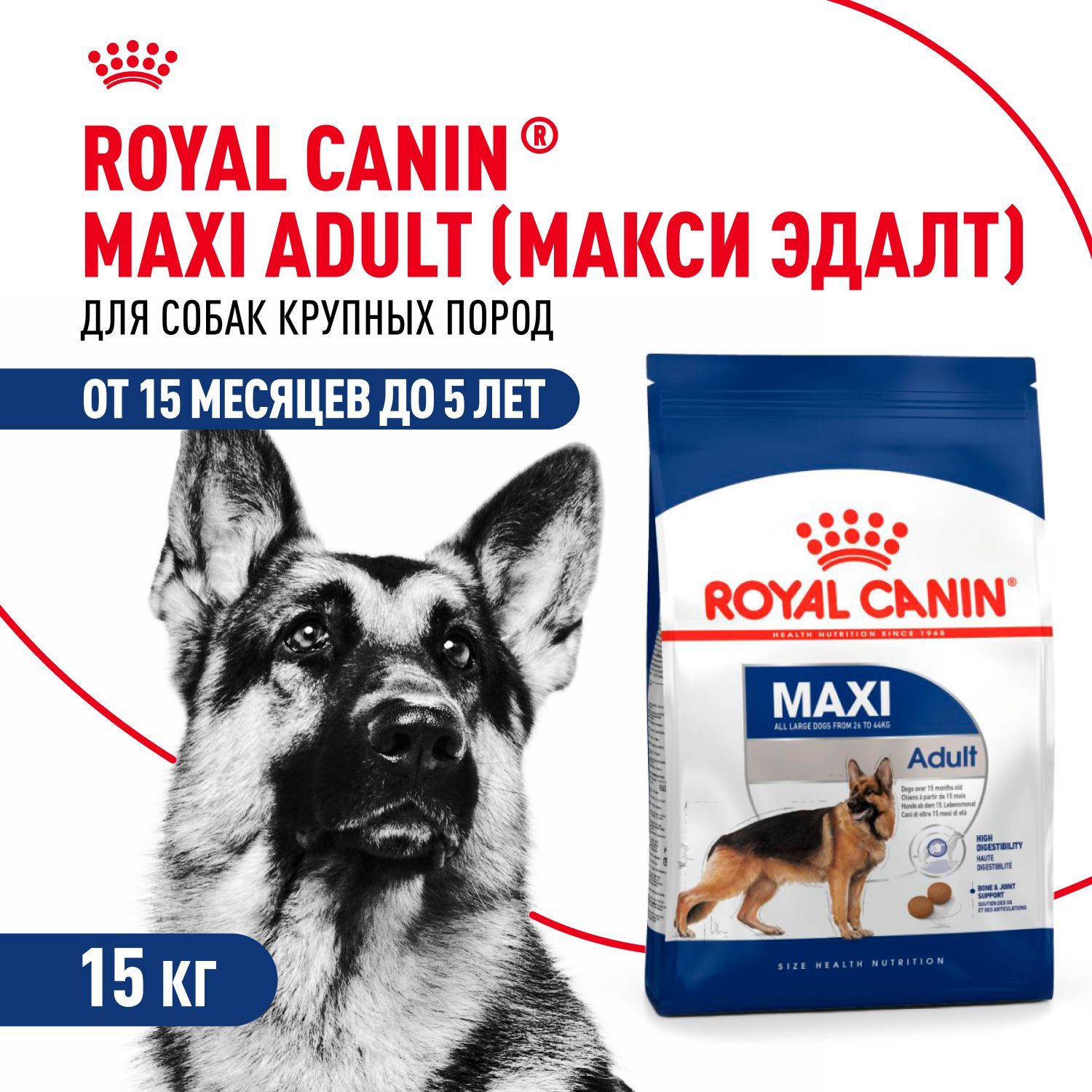 Сухой корм для взрослых собак Royal Canin Maxi для крупных пород, с птицей и свининой, 15 кг