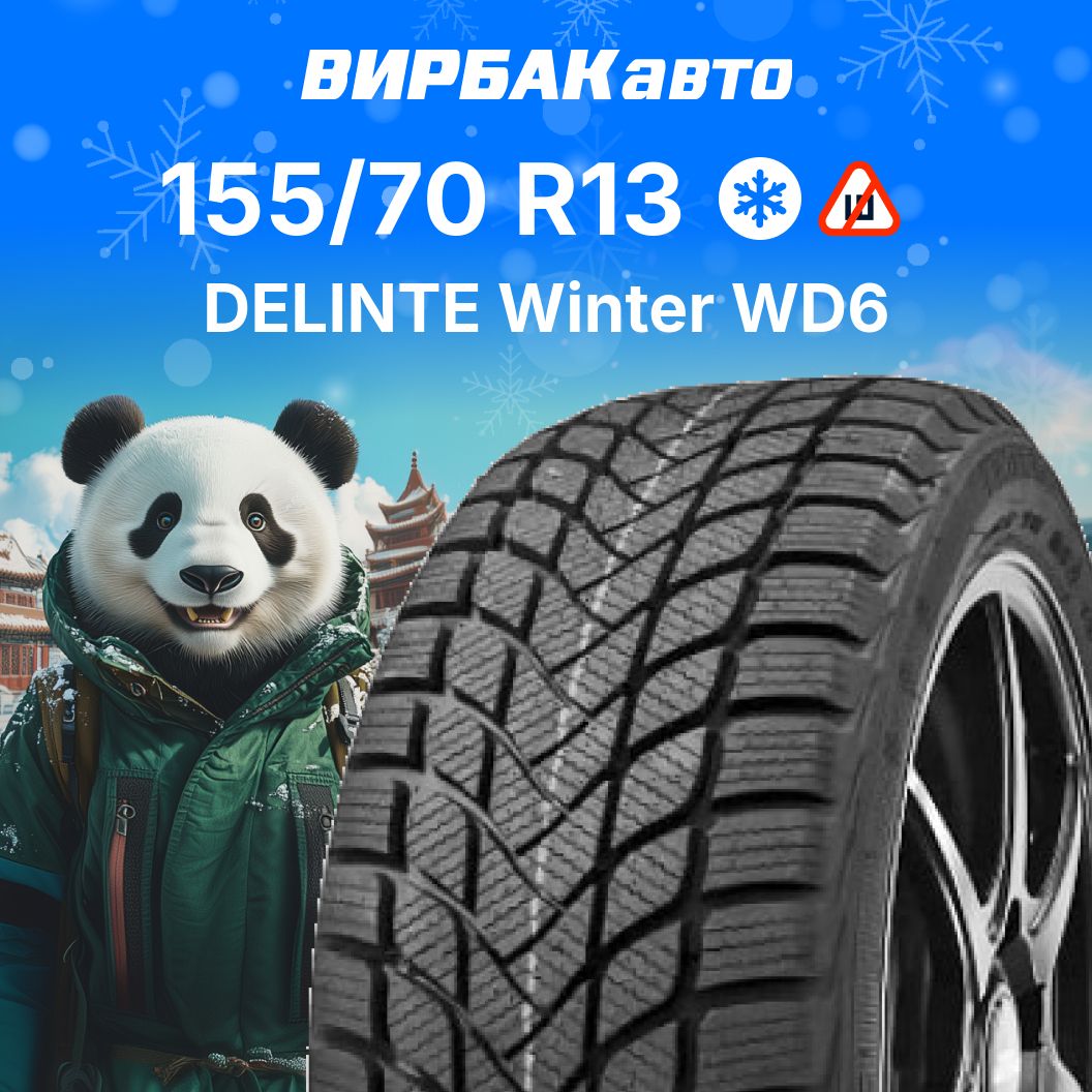 DelinteWinterWD6Шинызимние155/70R1375TНешипованные