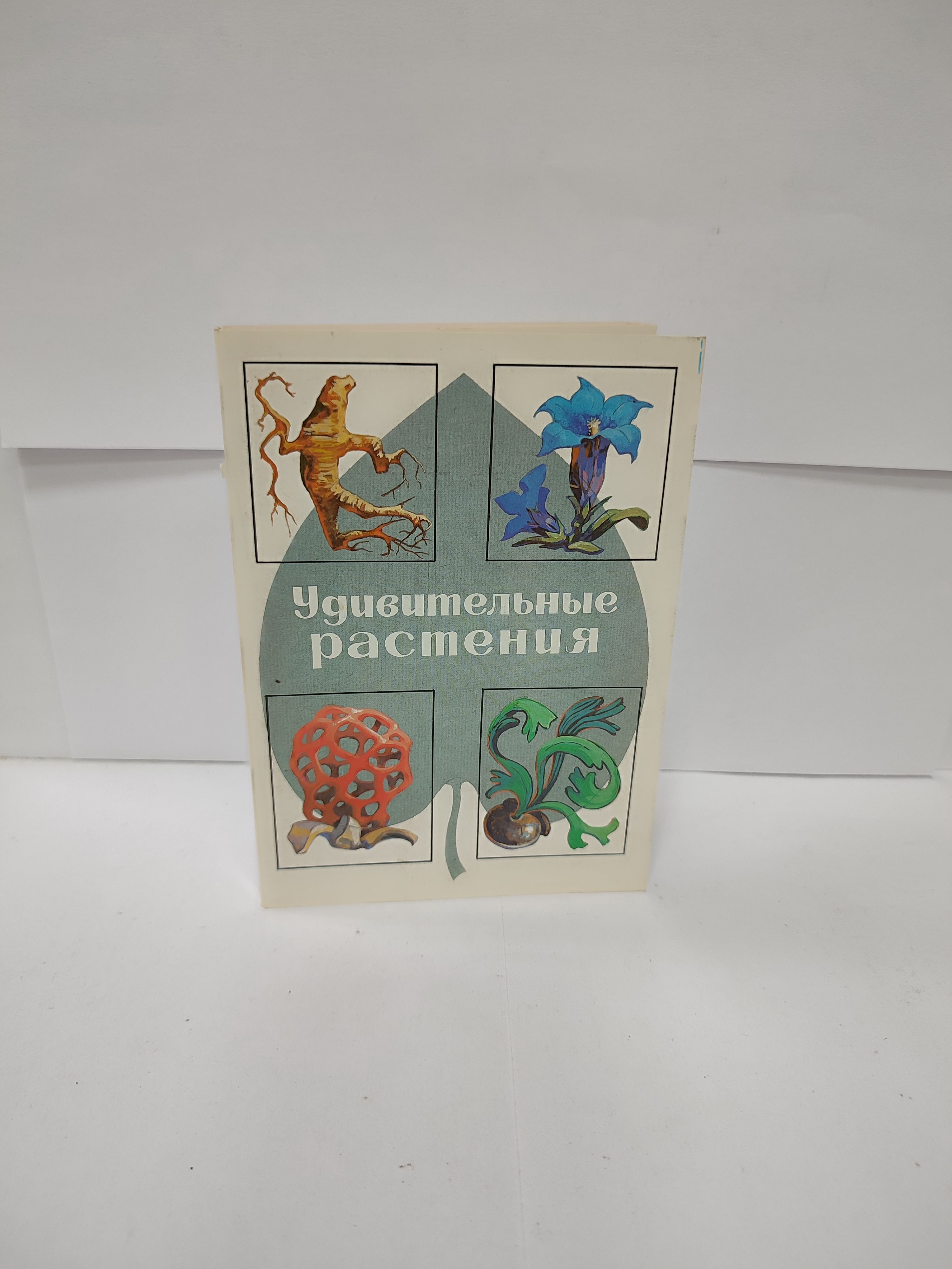 Канцелярия антикварная/винтажная набор из 32 открыток Удивительные растения 2