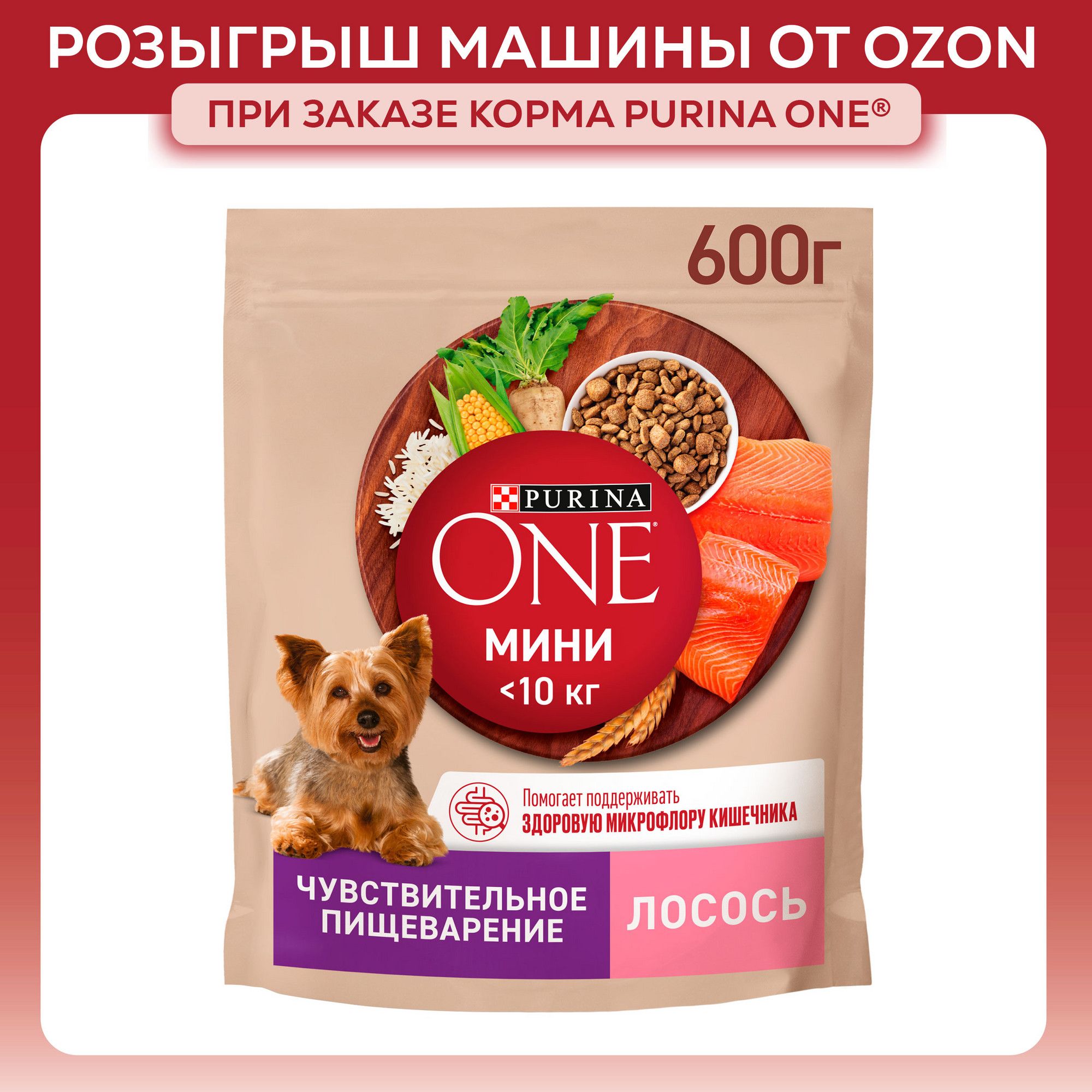 Сухой корм для собак Purina ONE МИНИ для мелких пород при чувствительном пищеварении, с лососем и рисом, 600 г