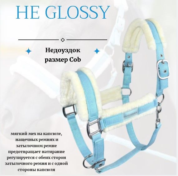 Недоуздок для лошади HE Glossy р-р Cob