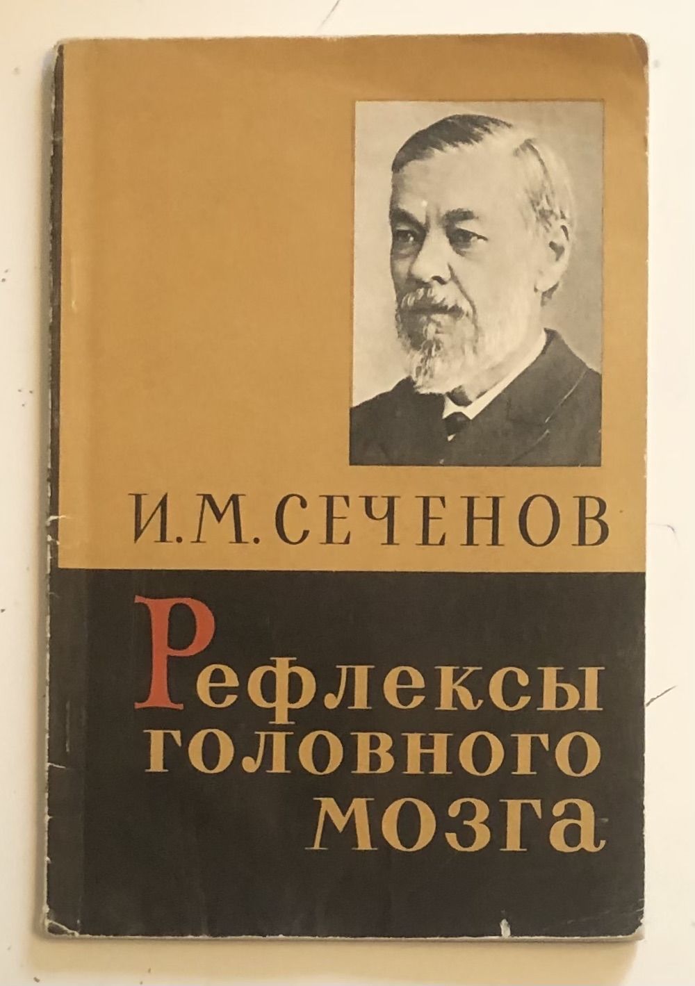 Рефлексы головного мозга