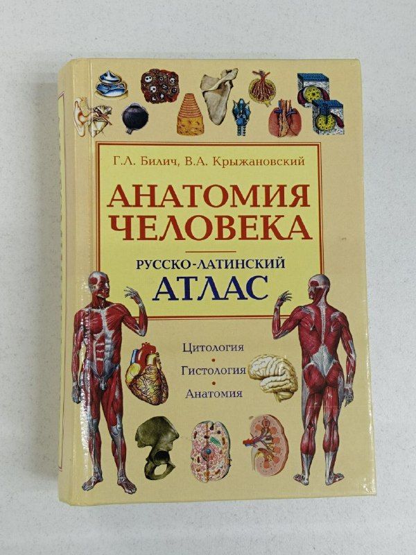 Анатомия человека. Русско-латинский атлас. Цитология. Гистология. Анатомия / Г. Л. Билич | Билич Габриэль Лазаревич