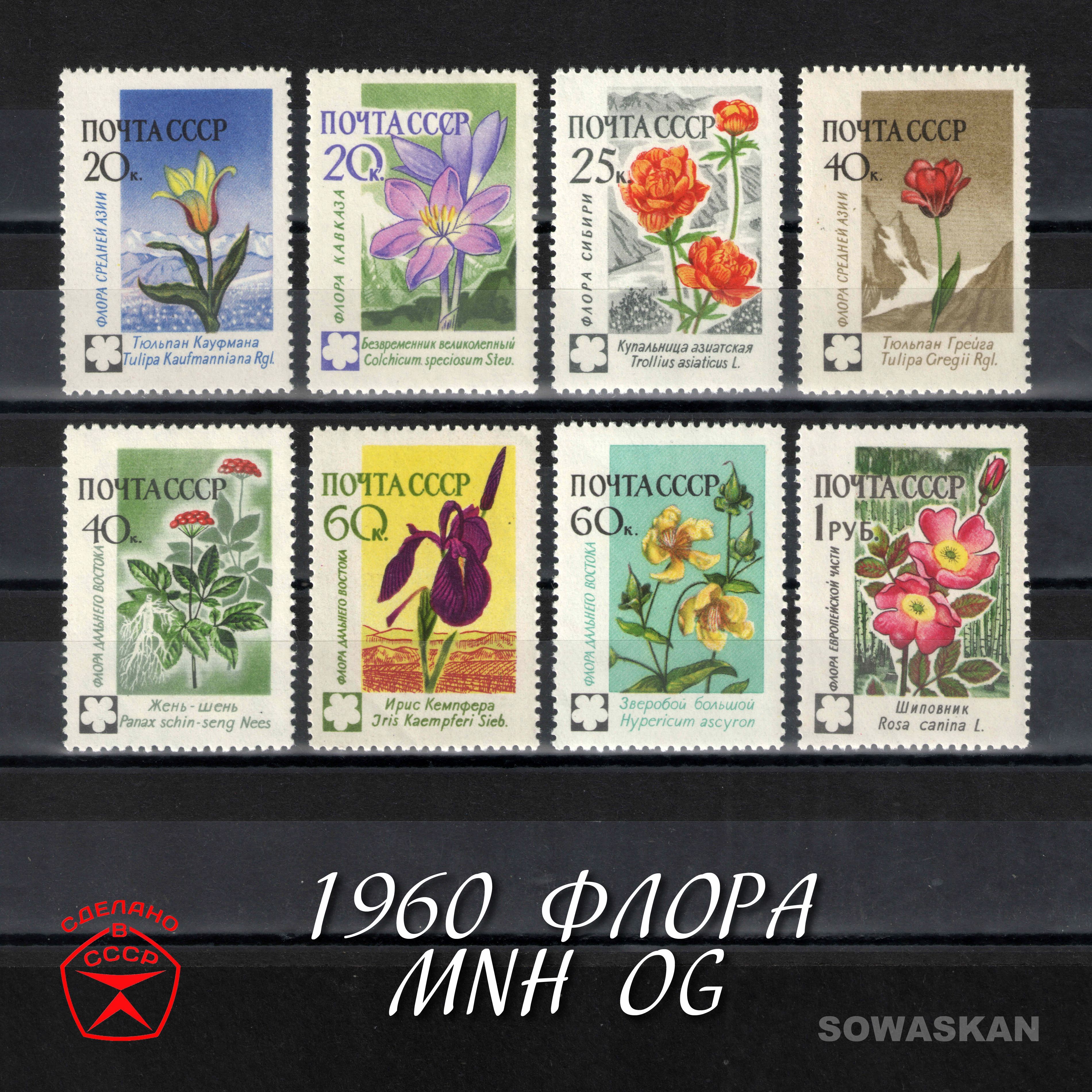 Марки СССР, Флора, цветы, 1960 год, РЕДКАЯ полная серия MNH OG