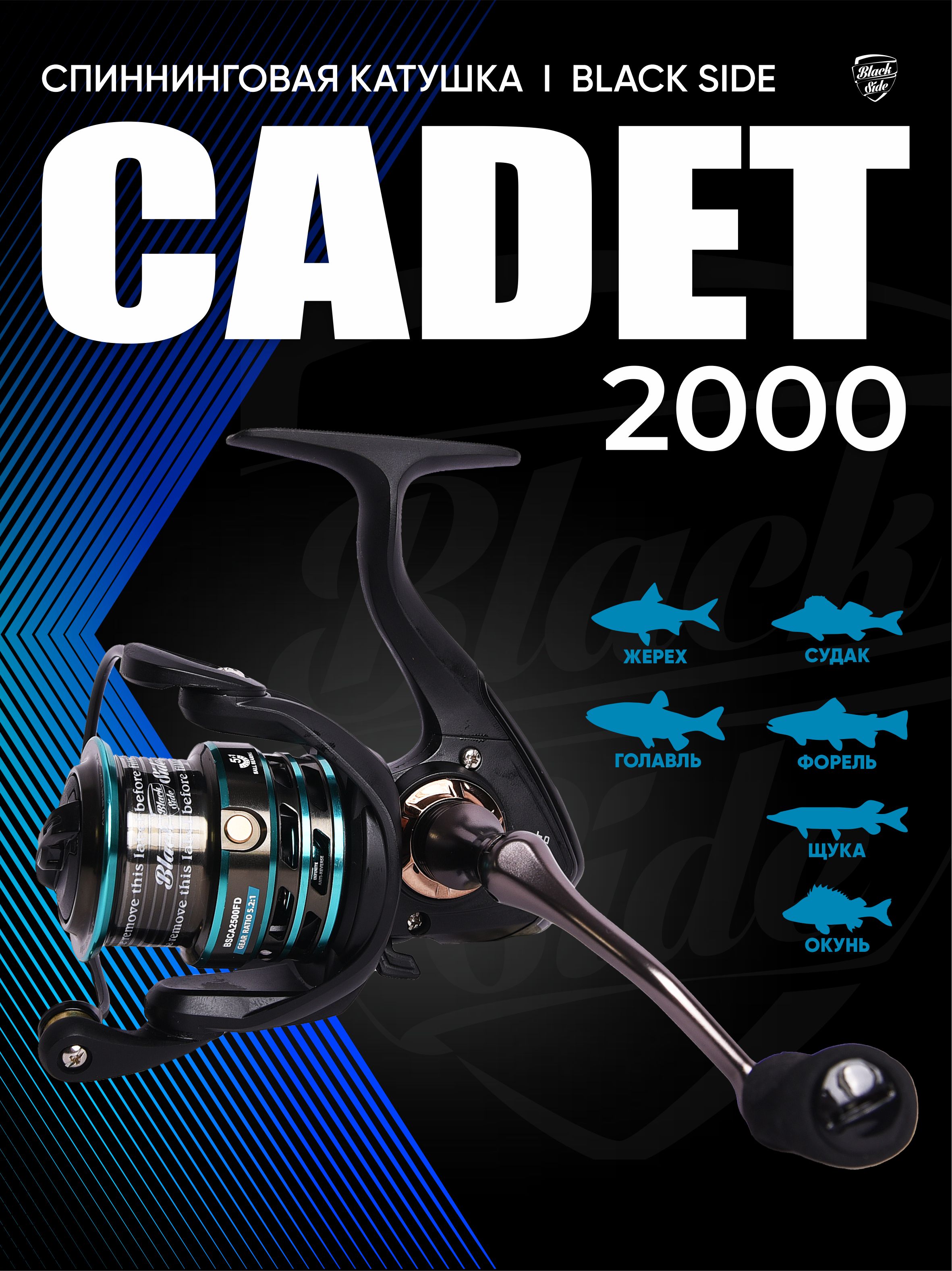 КатушкаSeaknight