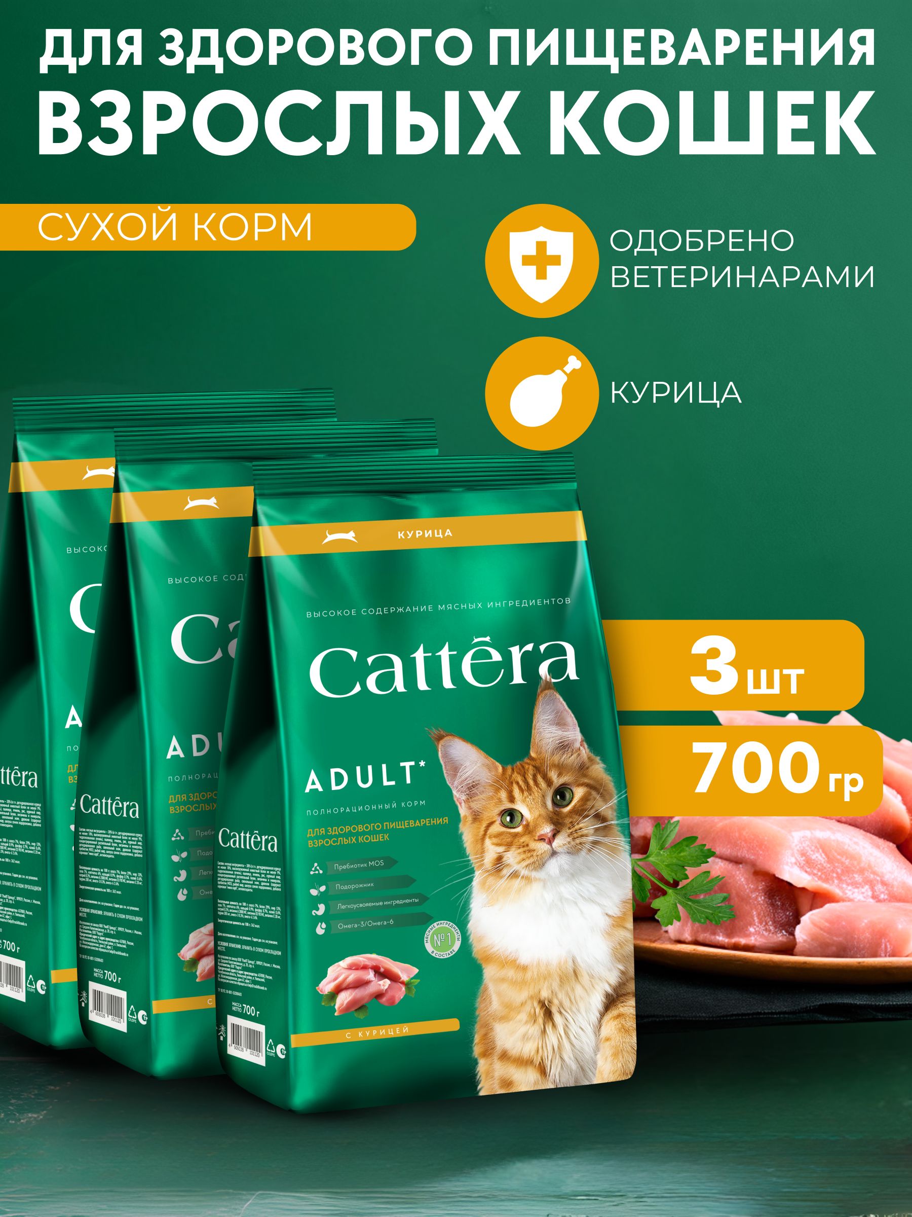 КормдлякошексухойCATTERAполнорационныйдляздоровогопищеварениявзрослыхкошекскурицей,700гр,3шт