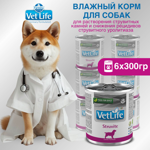 Влажный корм Farmina Vet Life Struvite для собак при струвитных ...