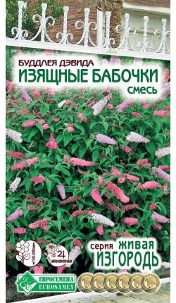Буддлея Евросемена НФ-00003118 - купить по выгодным ценам в интернет ...