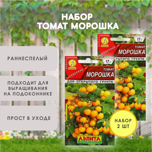 Томаты черри томаты_2 / балконные томаты Морошка_Пуговка_2 - купить по ...