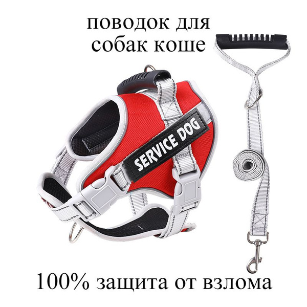 100% защита от взлома поводок для собак коше - купить с доставкой по ...