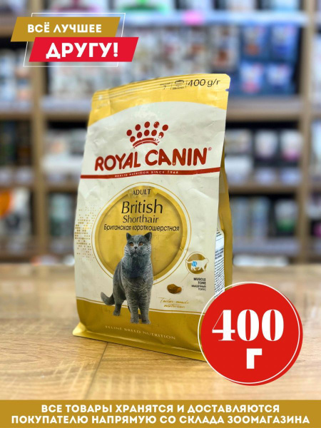 Royal Canin British для британских кошек, 400 г - купить с доставкой по ...