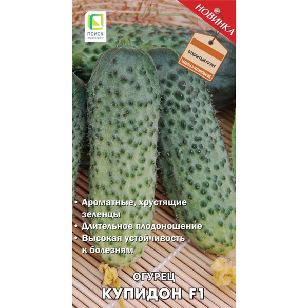 Огурцы ПОИСК Агрохолдинг Огурец_Купидон - купить по выгодным ценам в ...