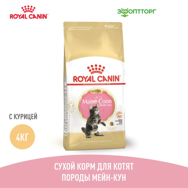 Сухой корм Royal Canin Maine Coon Kitten для котят породы мейн-кун, с ...