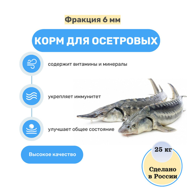 Корм для осетровых 6 мм - купить с доставкой по выгодным ценам в ...