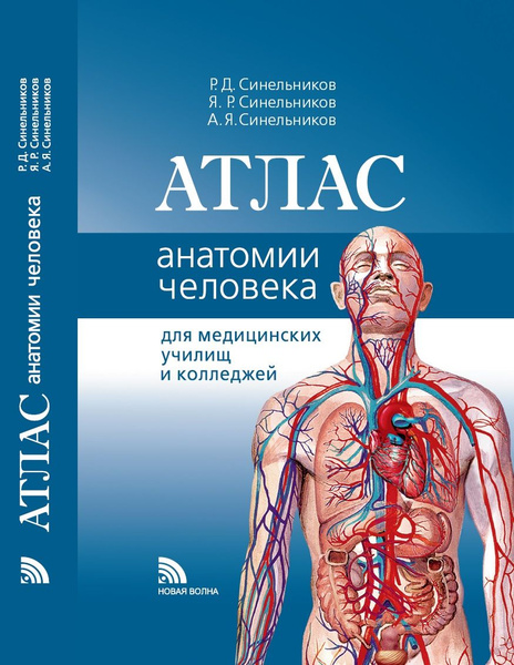Анатомия человека для медицинских училищ и колледжей | Синельников ...