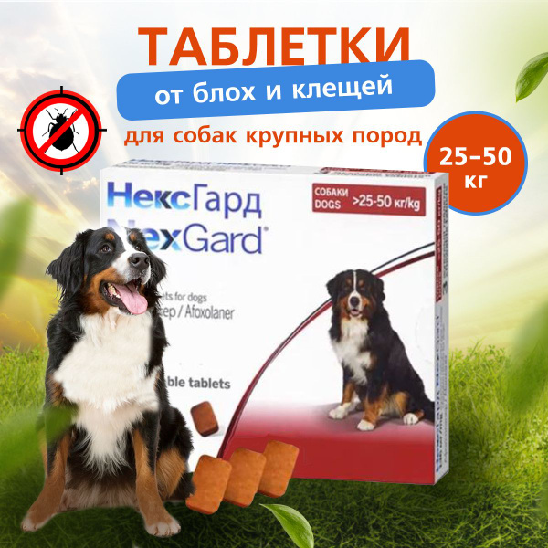 до 09.2025 НексгарД XL от блох и клещей для крупных пород собак 25-50 ...