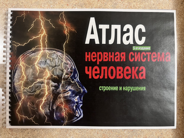 Атлас нервная система человека. Строение и нарушения | Астапов Валерий ...