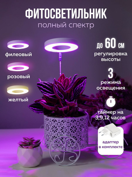 Фитолента - купить с доставкой по выгодным ценам в интернет-магазине ...