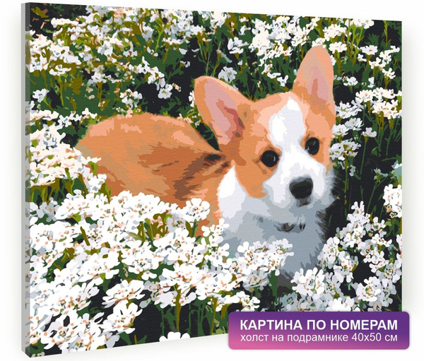 Картина по номерам на холсте с подрамником 40х50 см. Природа, животные ...
