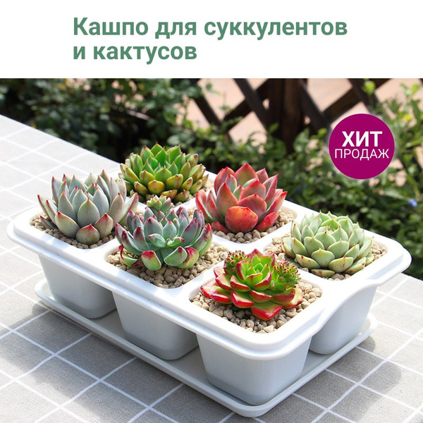 Горшок для суккулентов и кактусов, кашпо для растений, кассетные ячейки ...