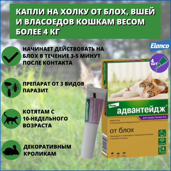 Капли Bayer/Elanco Адвантейдж для кошек более 4 кг от блох, вшей и ...