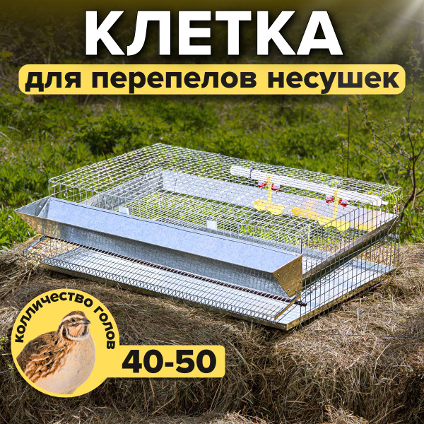 Клетка для перепелов несушек на 40-50 голов - купить с доставкой по ...