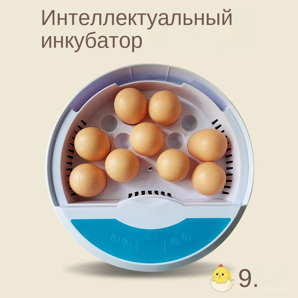 Мини инкубатор для куриных и перепелиных яиц - купить с доставкой по ...