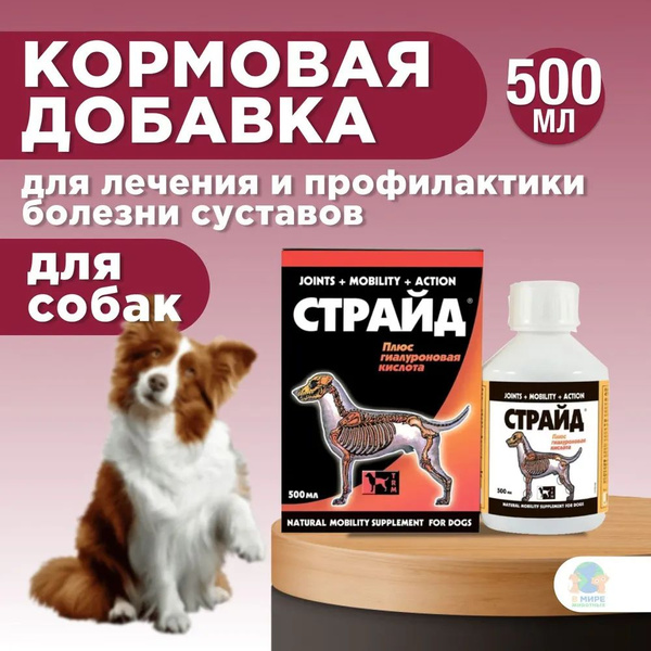 Страйд Плюс для собак 500 мл - купить с доставкой по выгодным ценам в ...