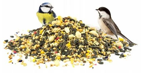 Корм для лесных, уличных и домашних птиц, 4кг - купить с доставкой по ...