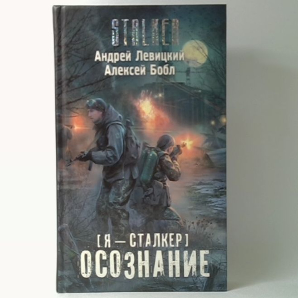 Я - сталкер. Осознание | Левицкий Андрей Юрьевич, Бобл Алексей - купить ...
