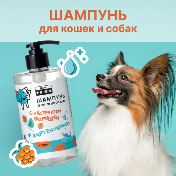 Шампунь для животных с хлоргексидином и экстрактом морошки ...