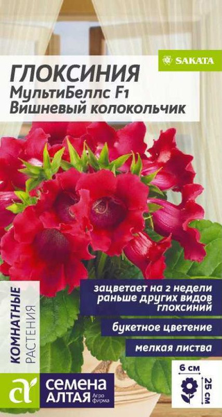 Глоксиния, Глоксинии Семена Алтая цветы - купить по выгодным ценам в ...