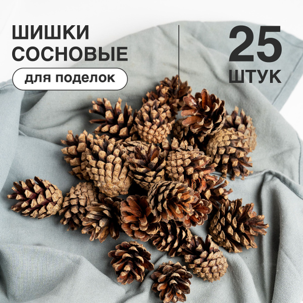 Шишки сосновые для поделок, декора, творчества 25 шт - купить с ...